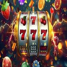 pkj 308 Live Casino